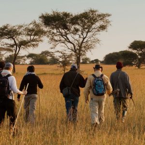 walking safari on a 7 days safari
