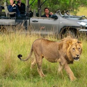 Kenya luxury safari lodges offering game packages to tourists